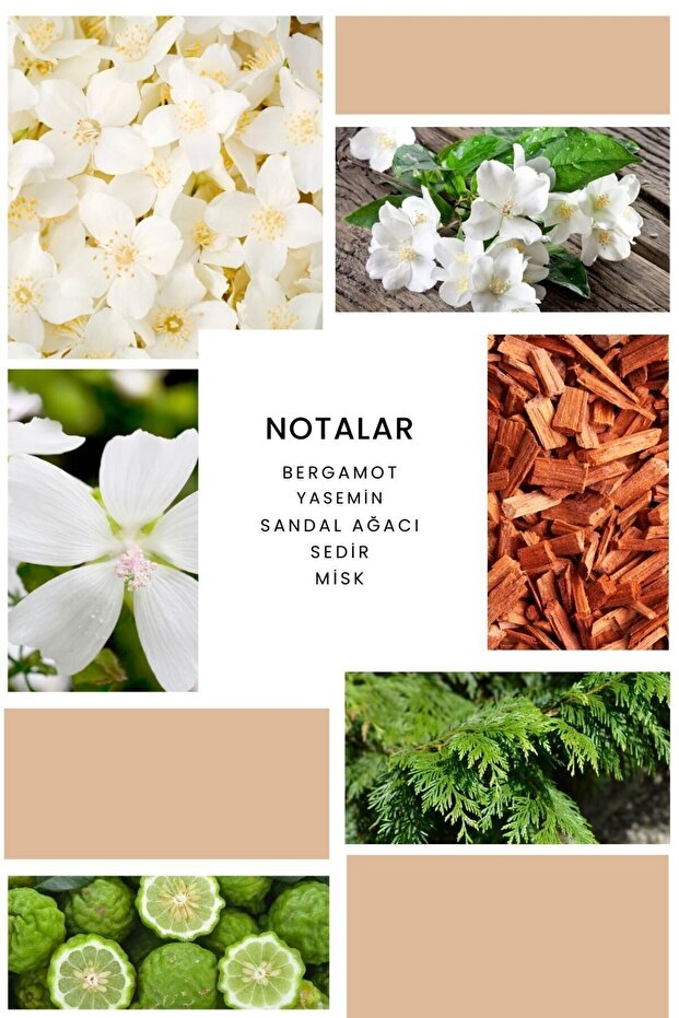 K102 Active Kadın Parfüm 100 ml Edp - 3