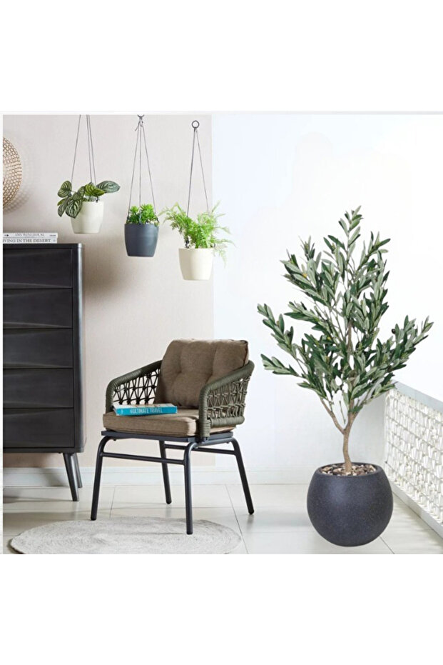 شجرة زيتون مقاس 130 سم - 7