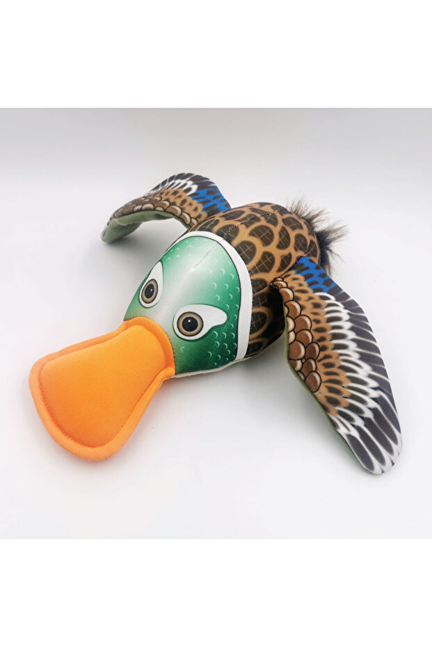 البطة الناعقة - 1