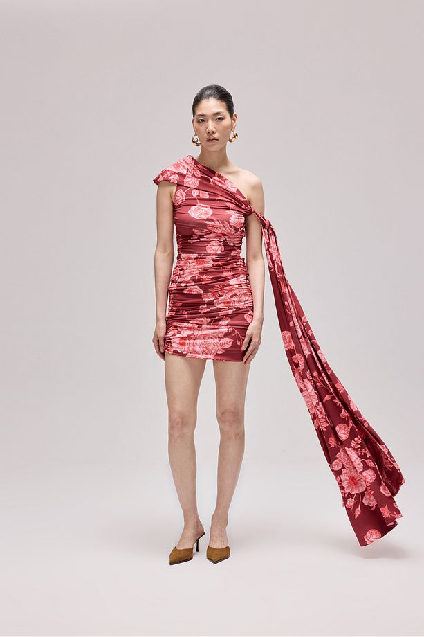 Neva Dress - 4