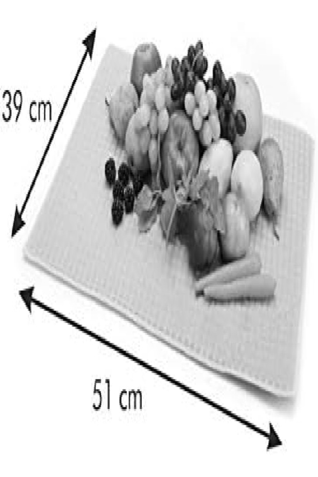 سجادة تجفيف الفواكه والخضروات من بريستو - ألياف دقيقة، خضراء، 48×41 سم - 2