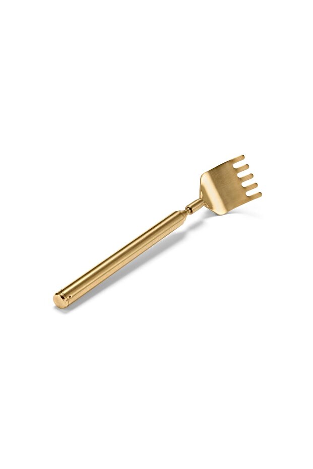 Sırt Kaşıyıcı - 2