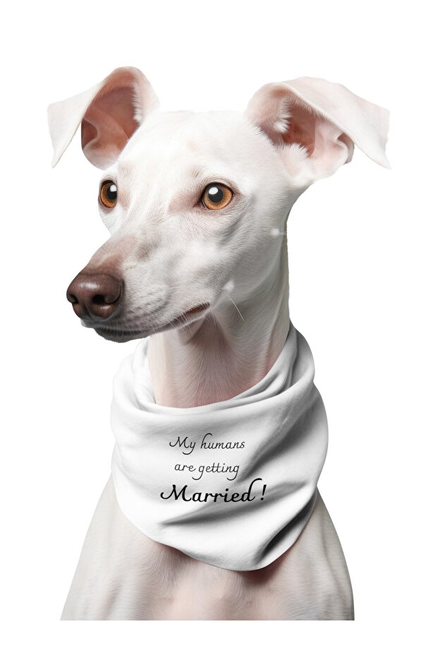 My Humans Are Getting Married Printed Dog Scarf Bandana