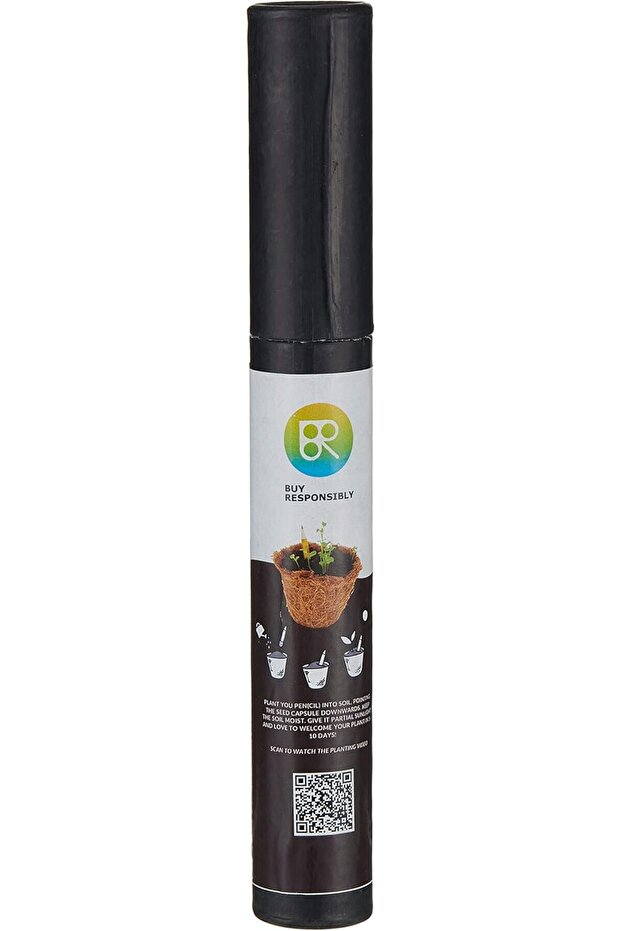 Plantable Seed Pencils Biodegradable Eco Friendly Stationery with Seeds for School Kids and Adults,
