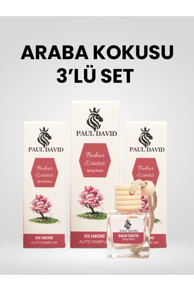Dekoratif Araç Oto Kokusu 3 lü Set Bahar Esintisi - 2