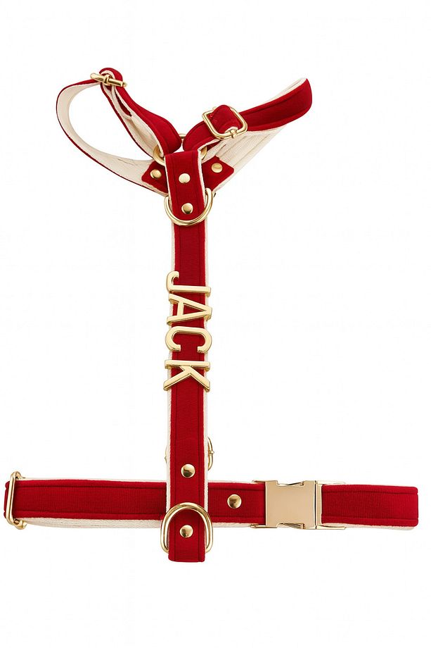 Kişiye Özel Isimli H Model Ayarlanabilir Kadife Köpek Göğüs Tasması - XS-S-M-L+ Gezdirme Kayışı Set - 6