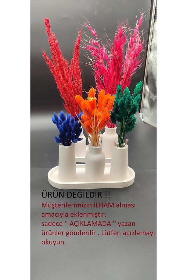 KUŞ OTU - Ev Dekoru Bitkileri Vazoda Kullanılan Kuru Çiçekler Süsleme Çiçekleri Doğal Bitkiler - 4
