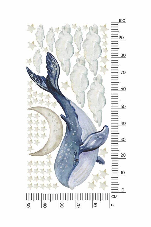 Balina Duvar Stickerı - 3