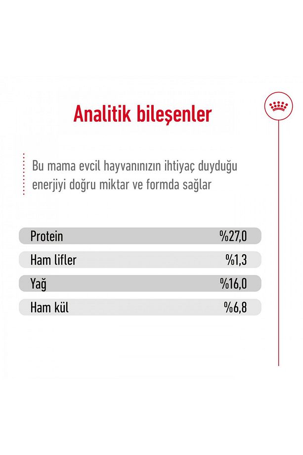 Küçük Irklar Için Yetişkin Kuru Köpek Maması 2kg - 6