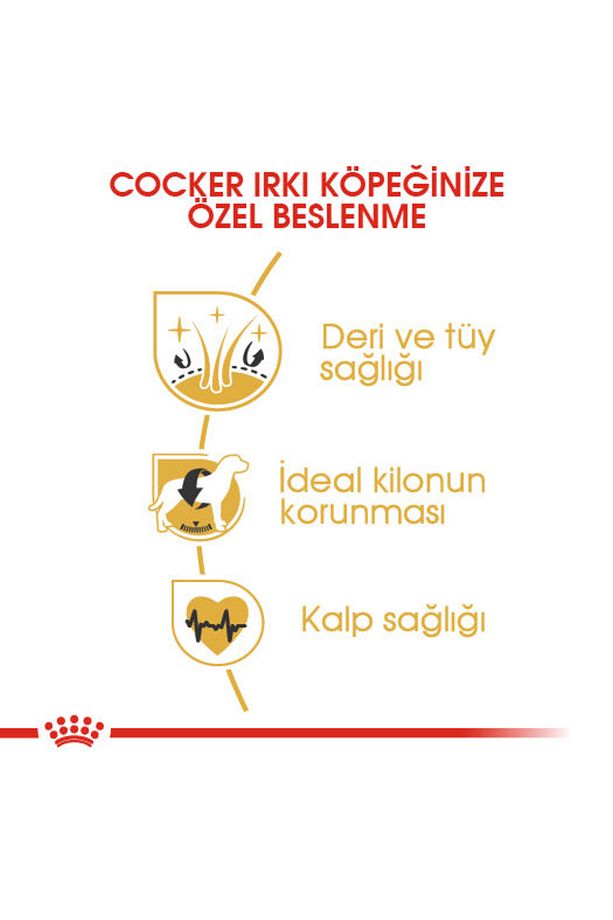 Cocker Kuru Köpek Maması 3kg - 4