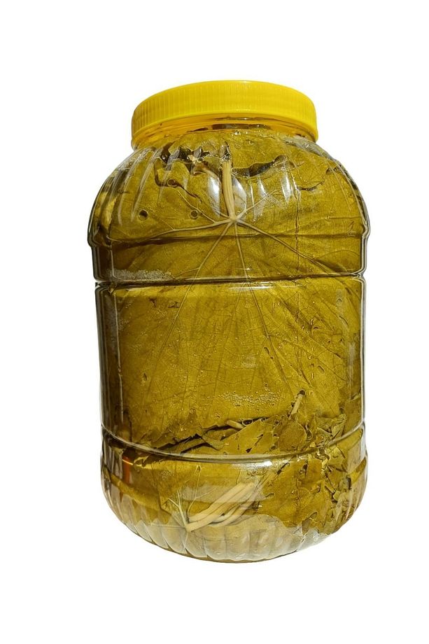 2024 Salamura Asma Yaprağı - 5 Lt - Sıkı Basım - 1