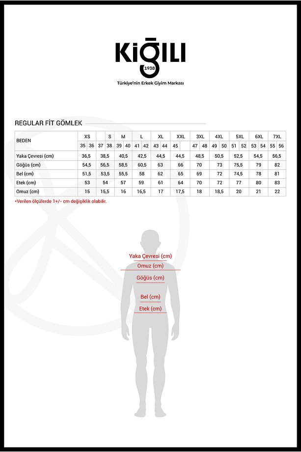 Uzun Kol Regular Fit Oduncu Ekose Pamuklu Kolay Ütülenebilir Düğmeli Yaka Gömlek - 4