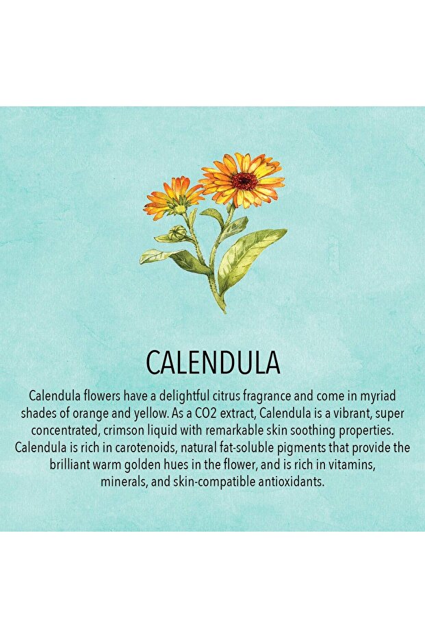 Organik Bebek Hediye Seti - 3