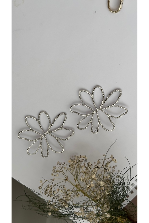 أقراط الزهرة - 2