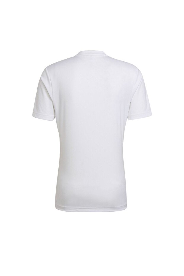 Entrada 22 Forma - 6