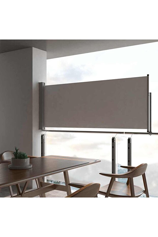 Patio Retractable Side Awning 100 x 300 cm Grey