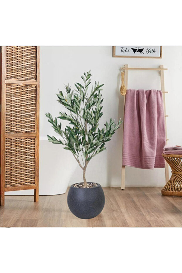 شجرة زيتون مقاس 130 سم - 1