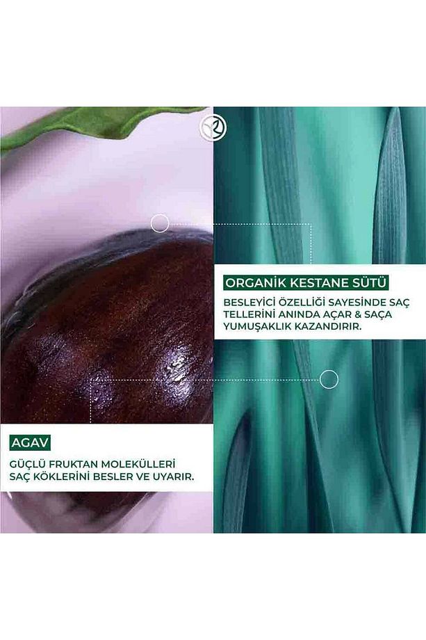Douceur - Besleyici Kolay Tarama Şampuanı 300ml - 3