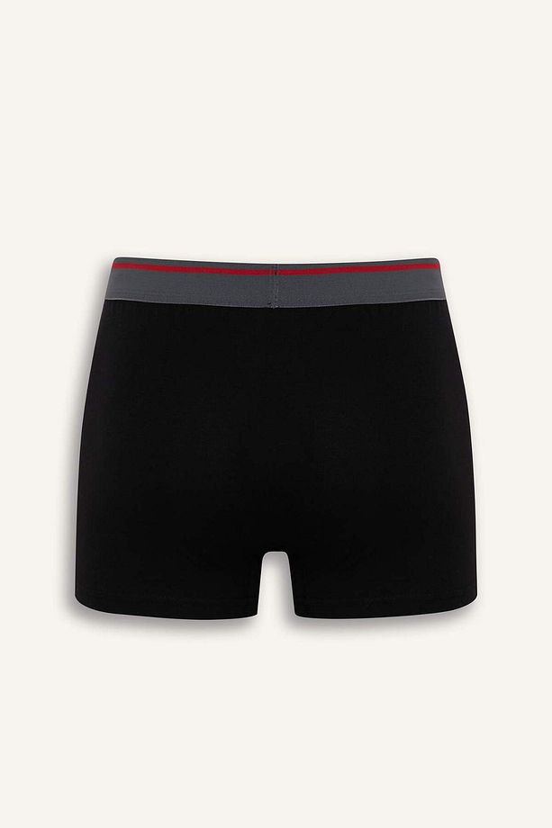 Regular Fit 3'lü Boxer E8708ax25hs - 3