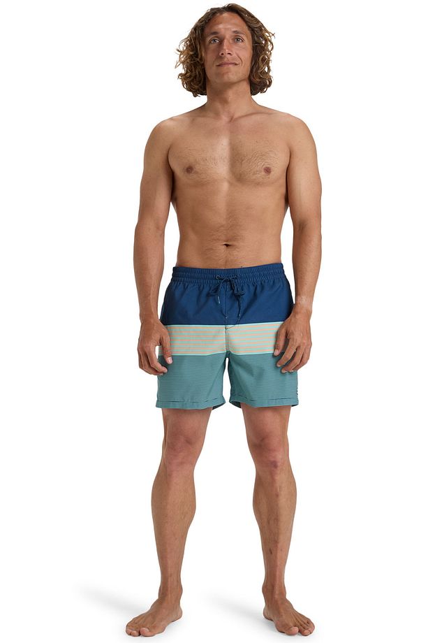 ALL DAY STRIPE LB Mavi Erkek Deniz Şortu - 4