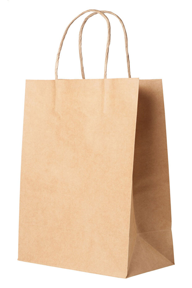 brown paper bag - 2