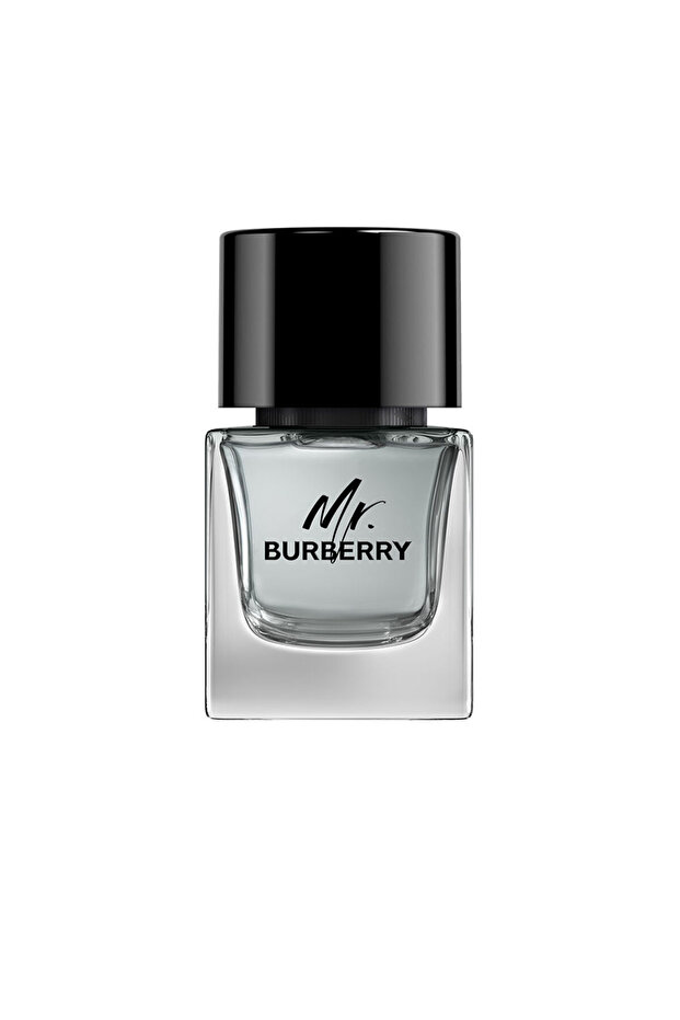 Mr Edt Dampf 50 ml - 1