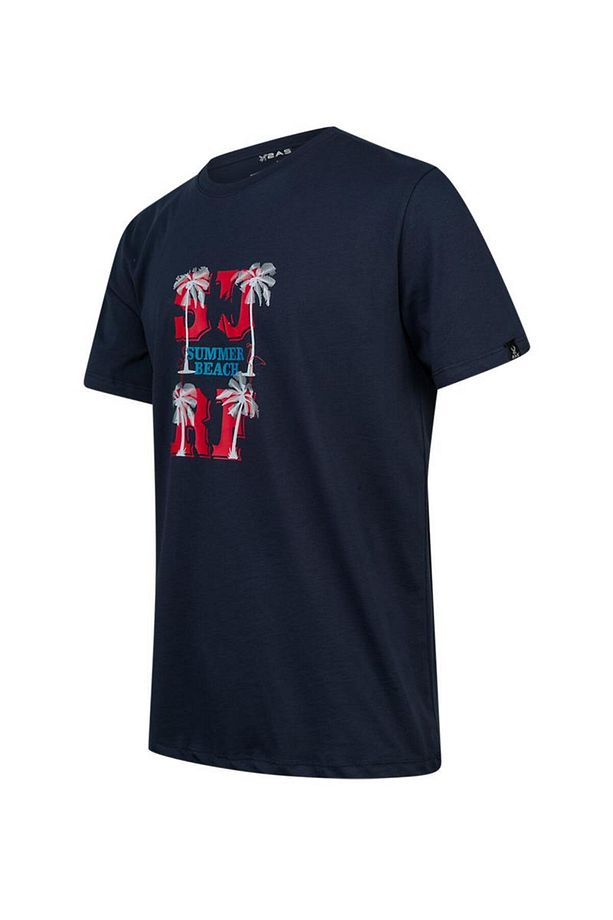 Alex Baskılı Erkek Sıfır Yaka T-Shirt 047 - 2