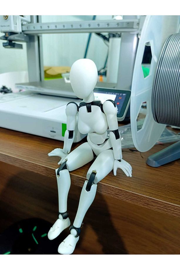Hareketli Robot İnsan Figürü, Sanatçı Mankeni - 2