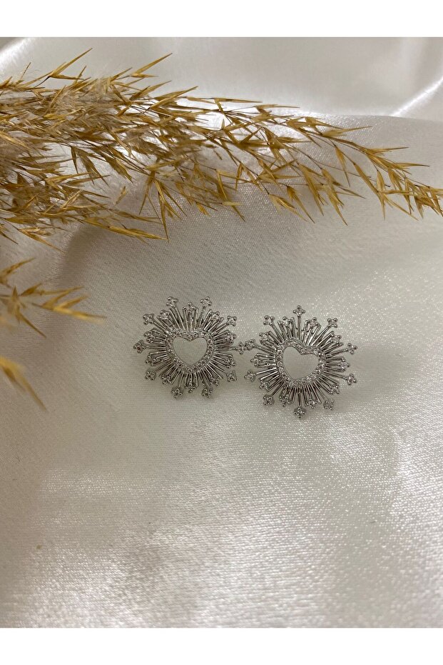 Zircon Stone Detailed VIP Steel Earrings