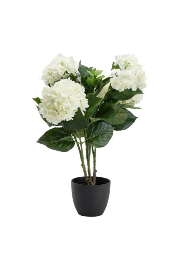 Flori decorative - 2