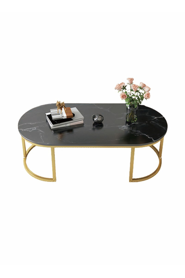 Modern Design Luxury Coffee Table Living Room Tea Table Home Furniture 100*50*45 Cm