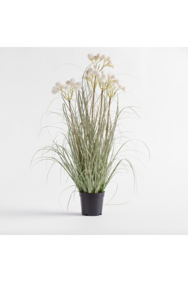 Decorative Flower Travisi