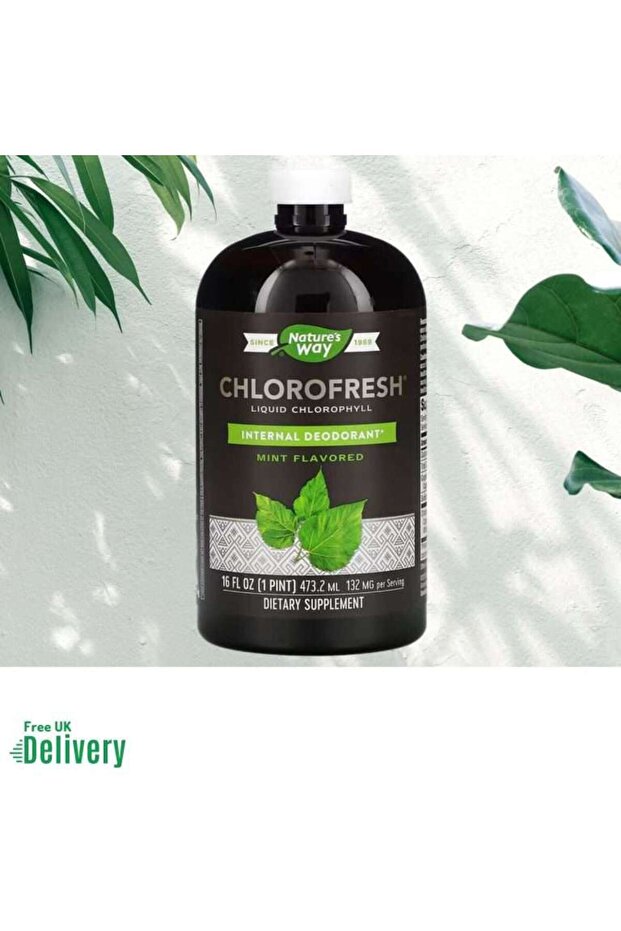 Chlorofresh Mint 473 Ml