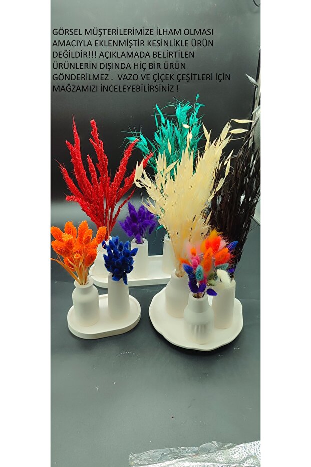 KUŞ OTU - Ev Dekoru Bitkileri Vazoda Kullanılan Kuru Çiçekler Süsleme Çiçekleri Doğal Bitkiler - 3