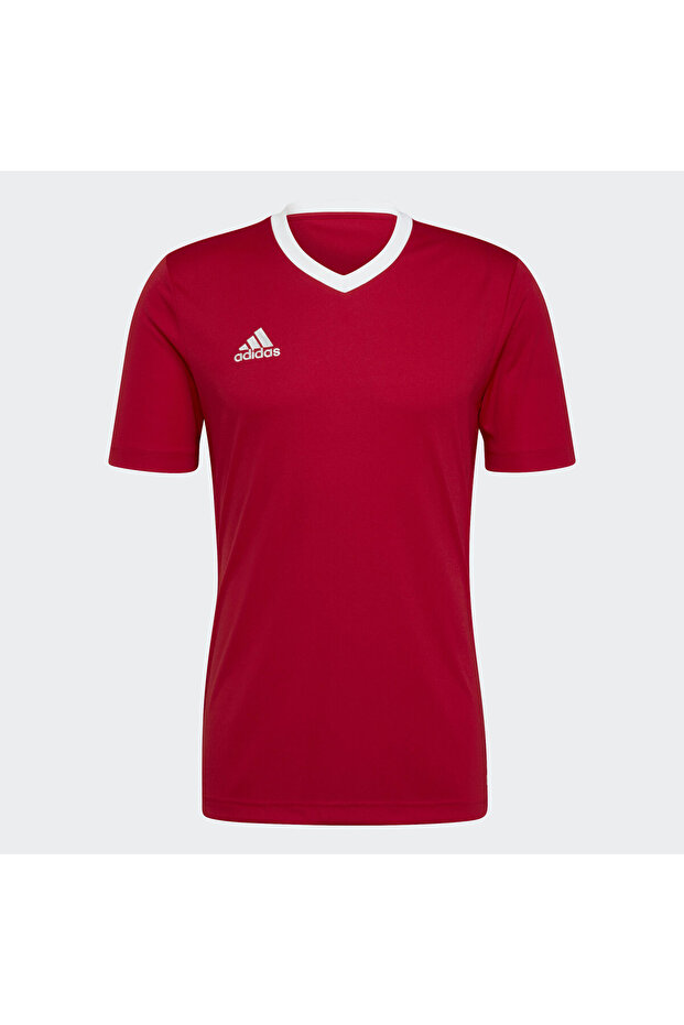 Entrada 22 Forma - 1