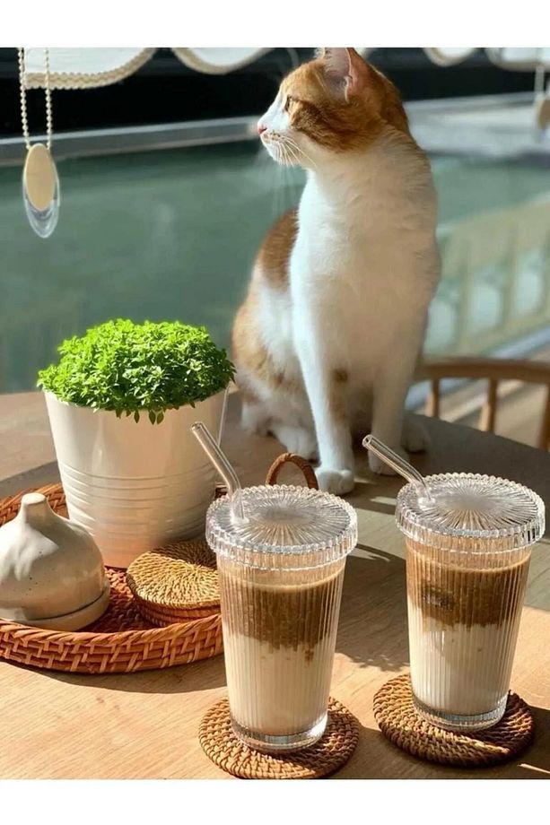 2 Adet 600 ml Isıya Dayanıklı Origami Desen Kapaklı Ve Pipetli Bardak Milkshake Ve Meşrubat Bardağı - 2