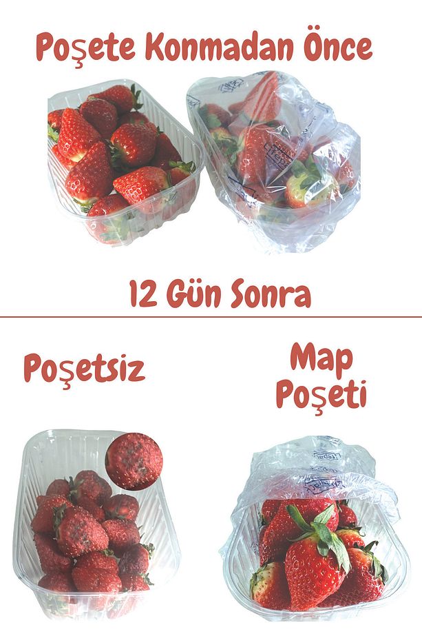 20 Adet Map Poşeti Meyve Ve Sebzeleri Taze Tutan Gıda Saklama Poşeti Modifiye Atmosfer Poşeti - 6