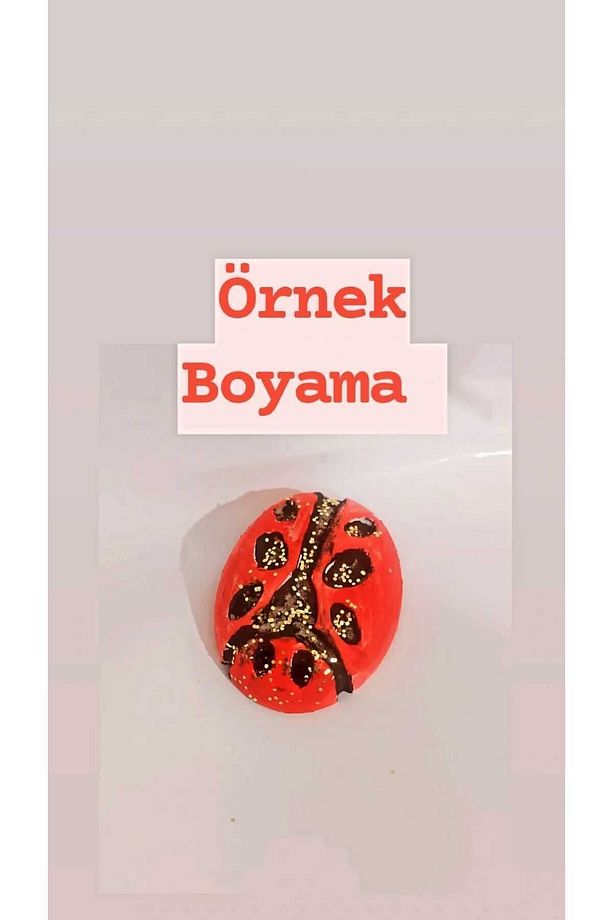 UĞUR BÖCEĞİ / boyayın seti, kendin yap, dıy, doğum günü hediyesi, tatil hediyesi, 10 ADET - 4