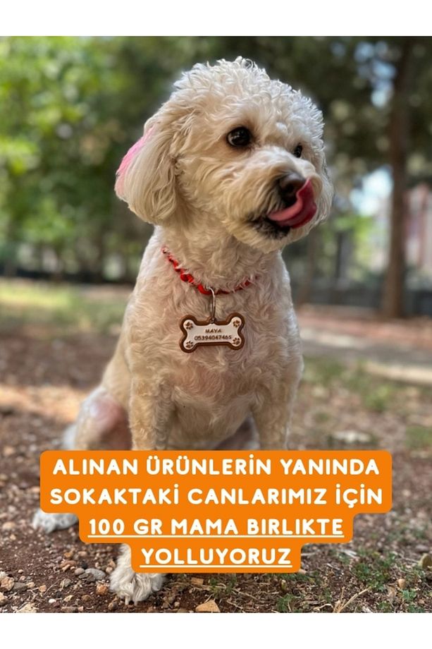 İsime Özel Zilli Kedi Ve Köpek Künyesi Ve Kolyesi ( 2. Resmi Okuyun ) - 3