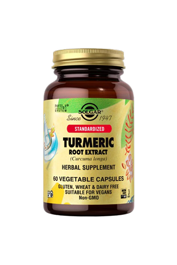 Standardized Turmeric Root Extract, 60 Vegetable Capsules, An Antioxidant - 1