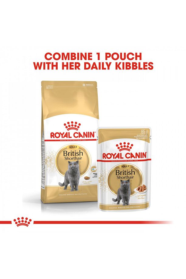 British Shorthair Için Yaş Kedi Maması 12 X 85g - 7