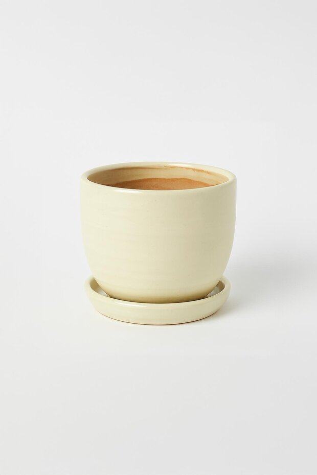 Tabaklı Krem Çömlek Saksı 19x19 Cm - 1