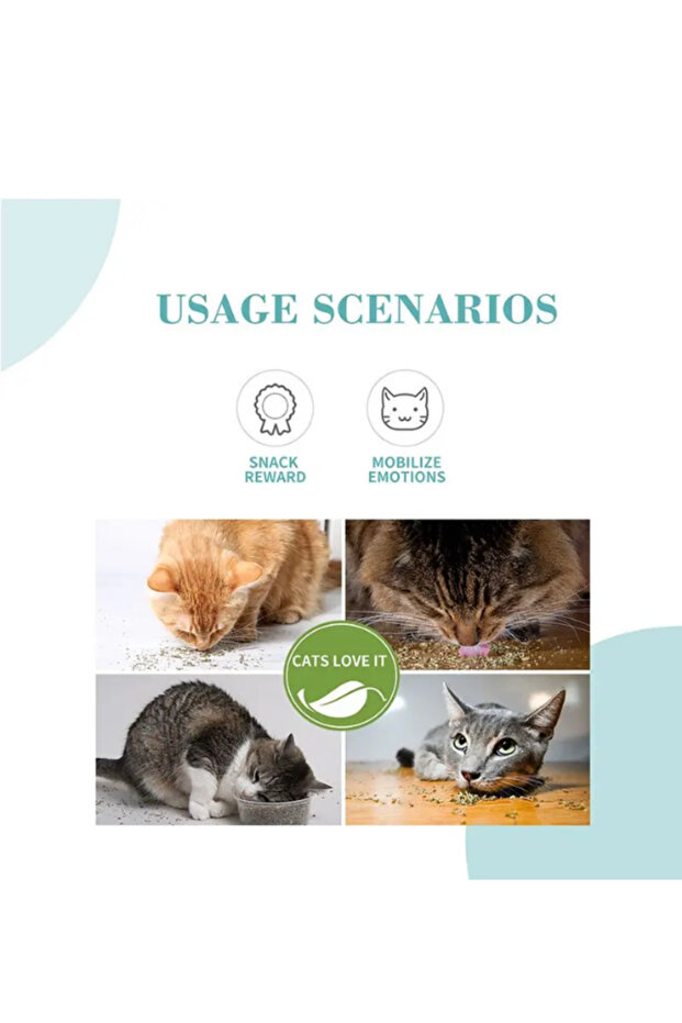 Cat's Tail 20 Gr - 3