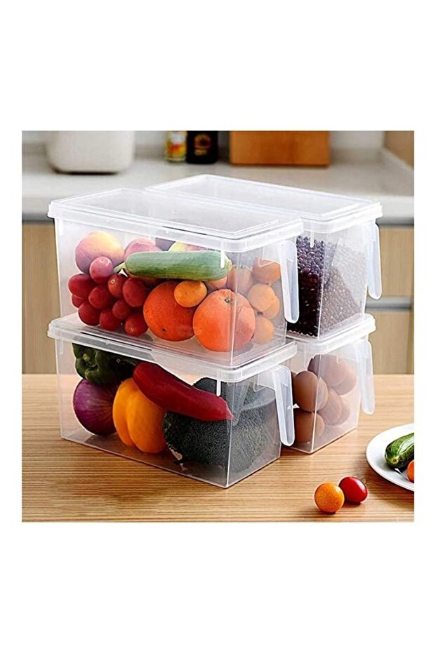 4-Piece Fridge Plastic Food Storage Containers With Lids And Handle Plastic Kitchen Refrigerator