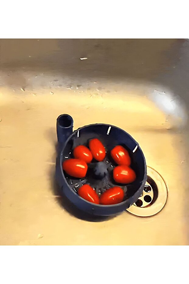 Vegetable and Product Washing Apparatus High Quality Printing
