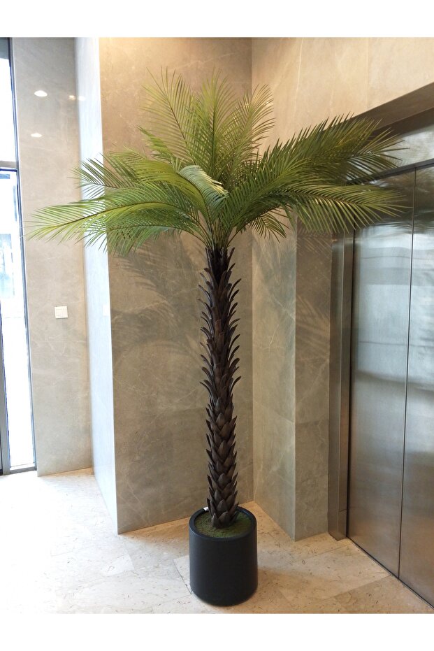 2.1m artificial palm trees - 3