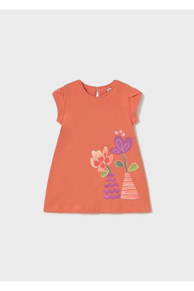 Baby Girl Printed Dress