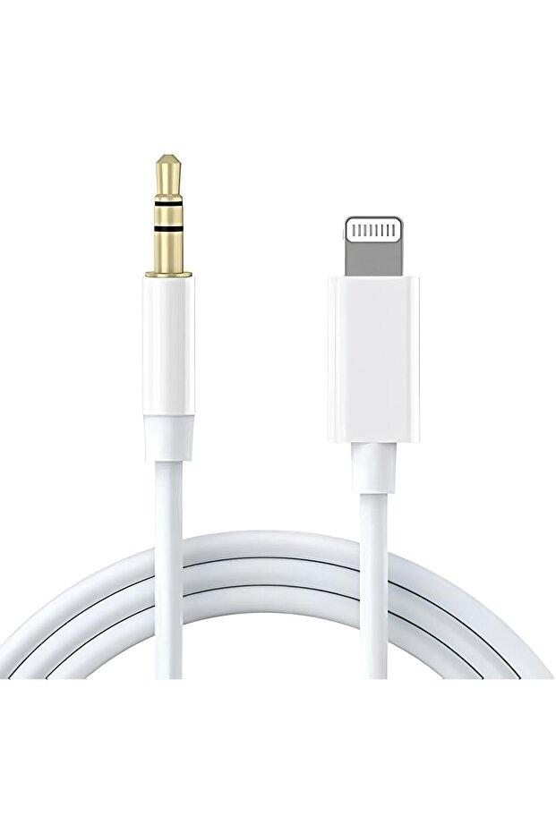 Lightning to Aux Converter Cable – iPhone 3.5 mm Audio Input Adapter