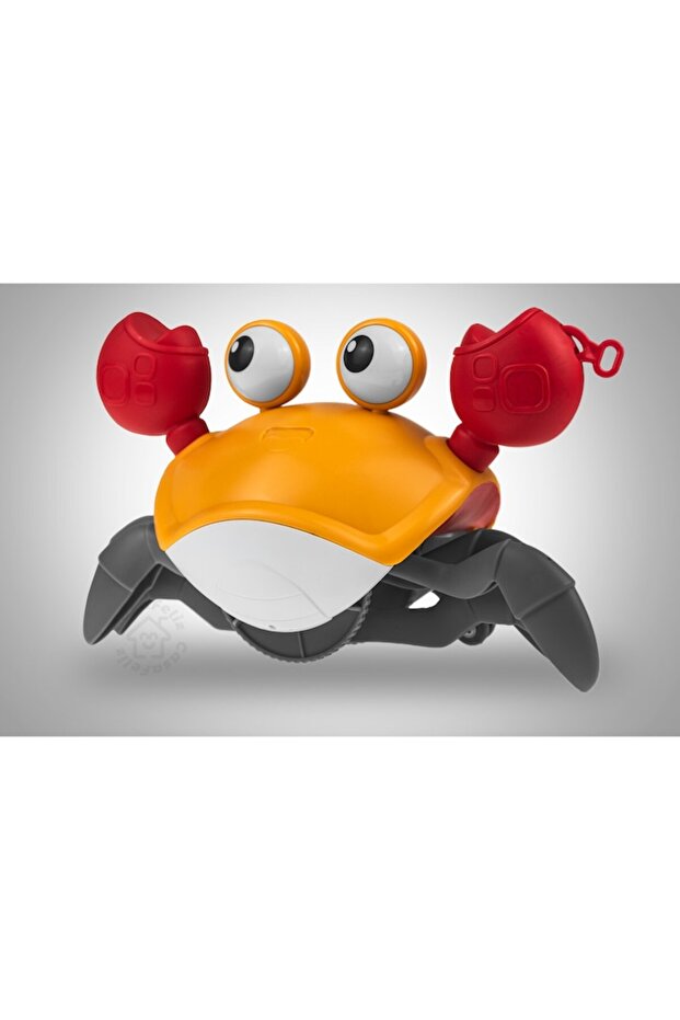 Interactive Toy, Crawling Crab, Orange - 3