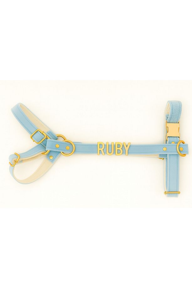 Kişiye Özel Isimli H Model Ayarlanabilir Kadife Köpek Göğüs Tasması - S/m/l Gezdirme Kayışı Set - 6